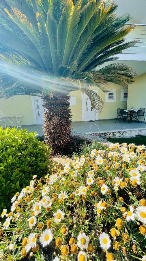 Villa Maestral زادار المظهر الخارجي الصورة